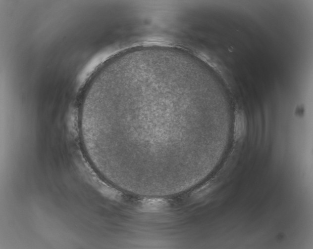 X0000114661454200912011124