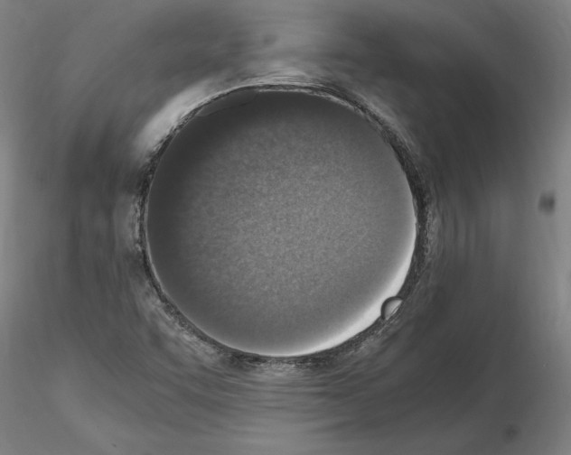 X0000114661455200912011124