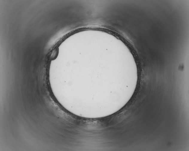 X0000114661456200912011124