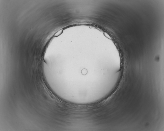 X0000114661457200912011124