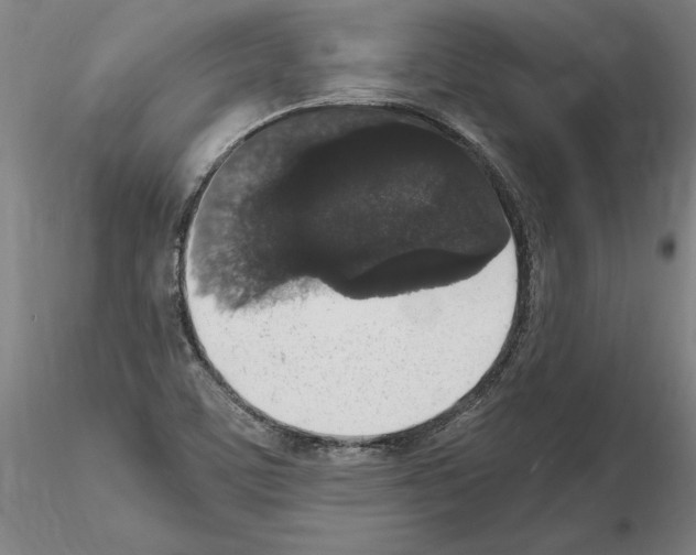 X0000114661459200912011124