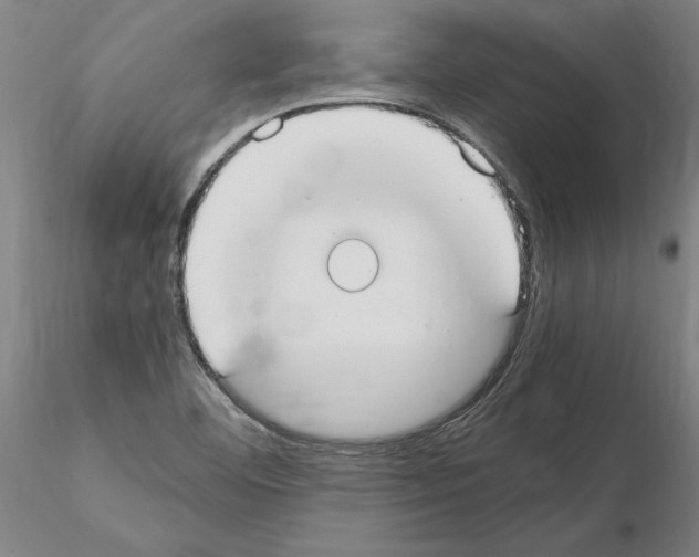 X0000114661460200912011124