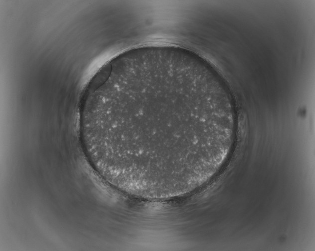 X0000114661461200912011124