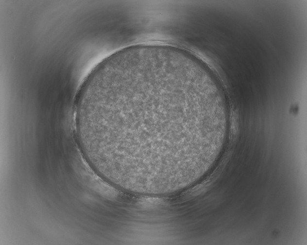 X0000114661462200912011124