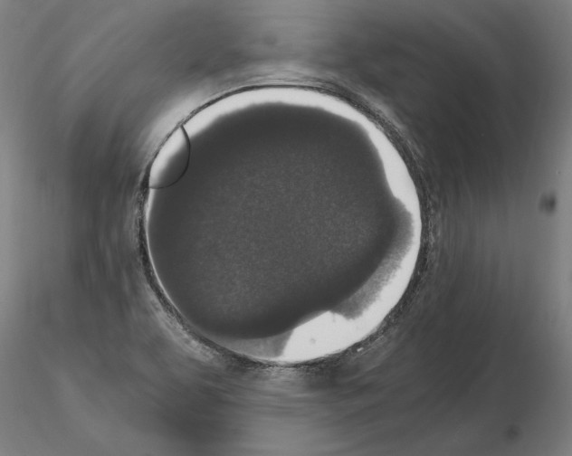 X0000114661463200912011124