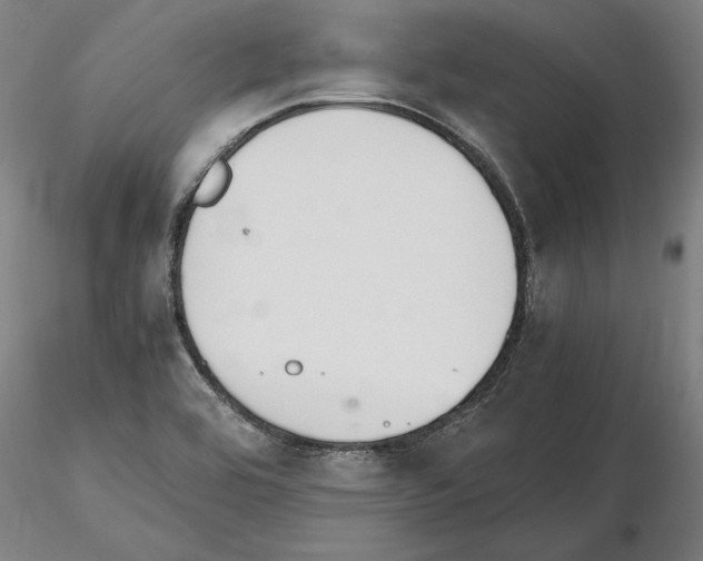 X0000114661464200912011124