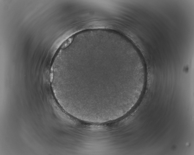 X0000114661465200912011124