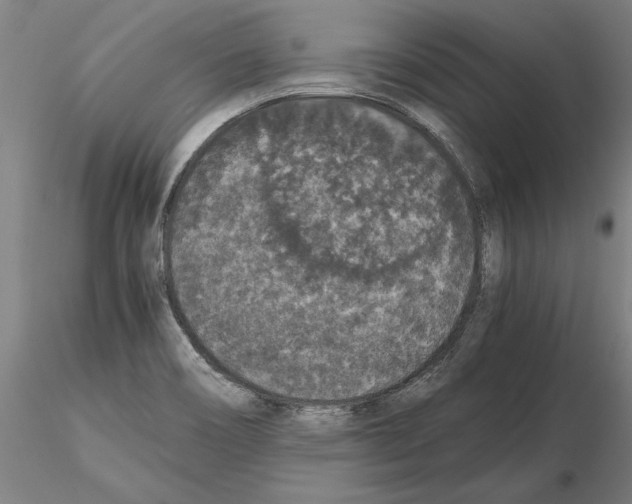 X0000114661466200912011124