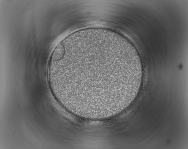 X0000114661467200912011124