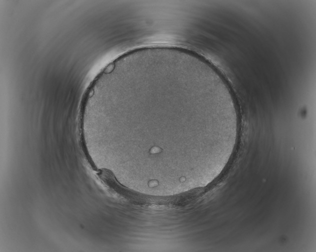 X0000114661469200912011124