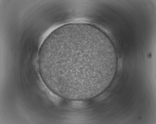 X0000114661470200912011124