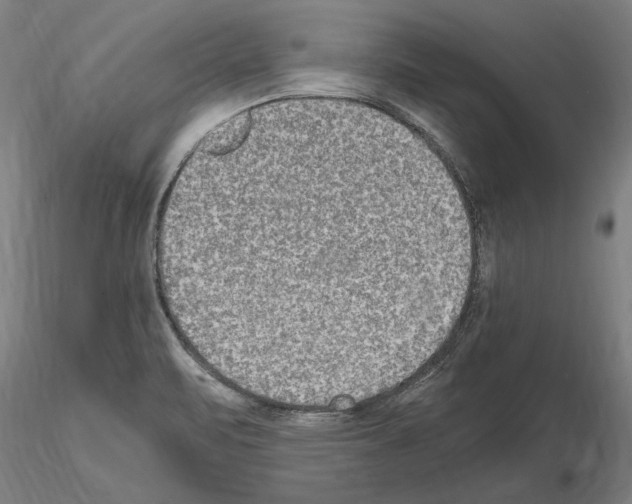 X0000114661471200912011124