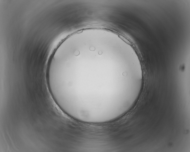 X0000114661472200912011124