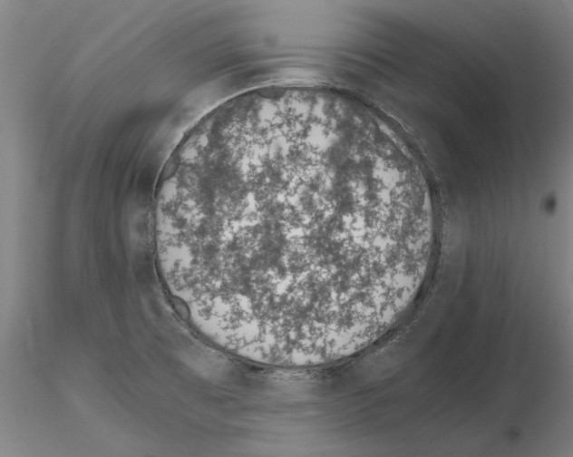 X0000114661473200912011124