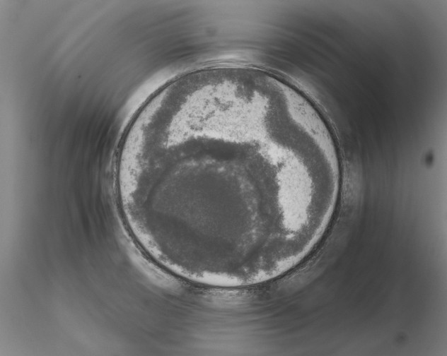 X0000114661474200912011124