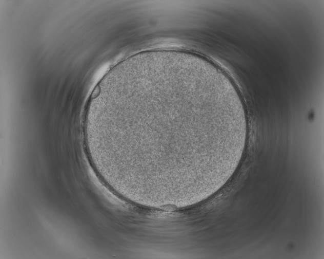 X0000114661475200912011124