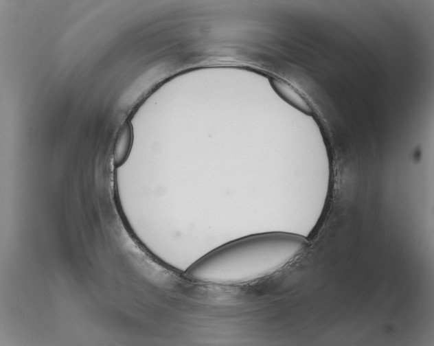 X0000114661476200912011124