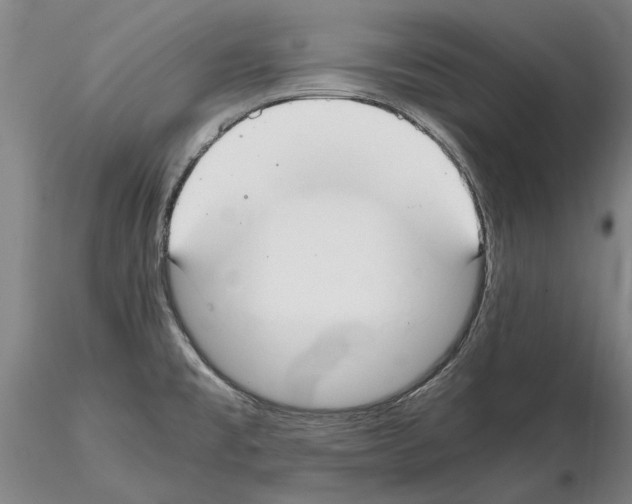 X0000114661477200912011124