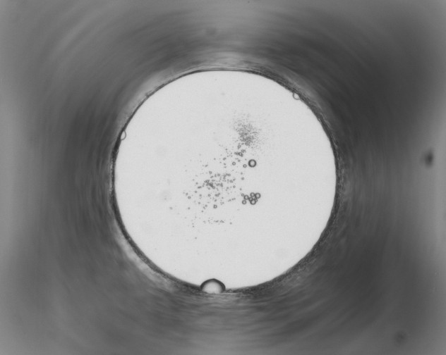 X0000114661479200912011124