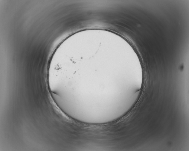 X0000114661480200912011124