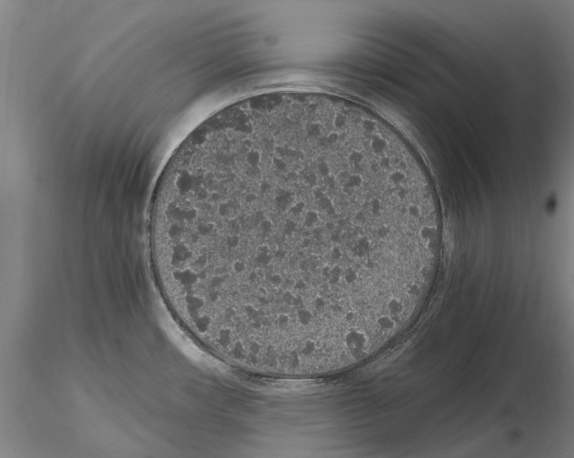 X0000114661482200912011124