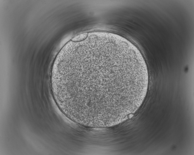 X0000114661483200912011124