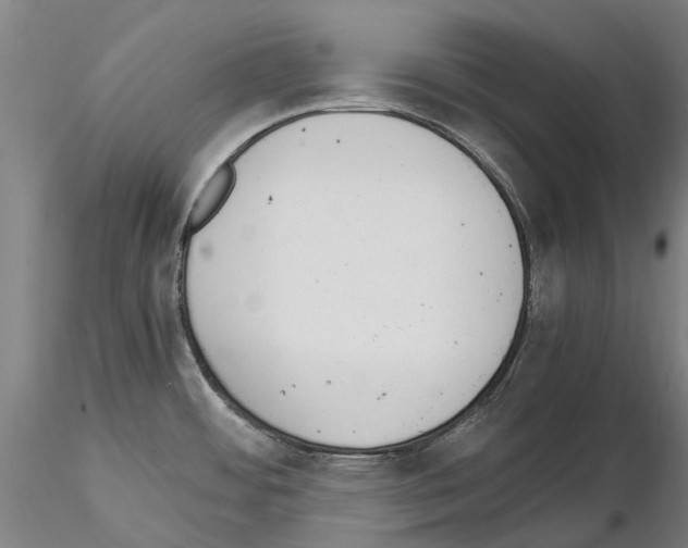 X0000114661484200912011124