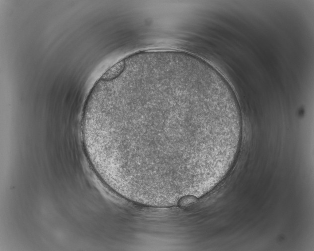 X0000114661485200912011123