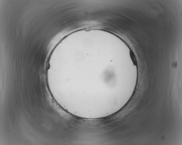 X0000114661488200912011123