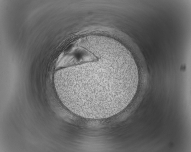 X0000114661489200912011123