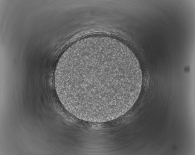 X0000114661490200912011123