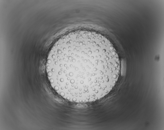 X0000114661491200912011123