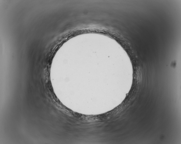 X0000114661493200912011123