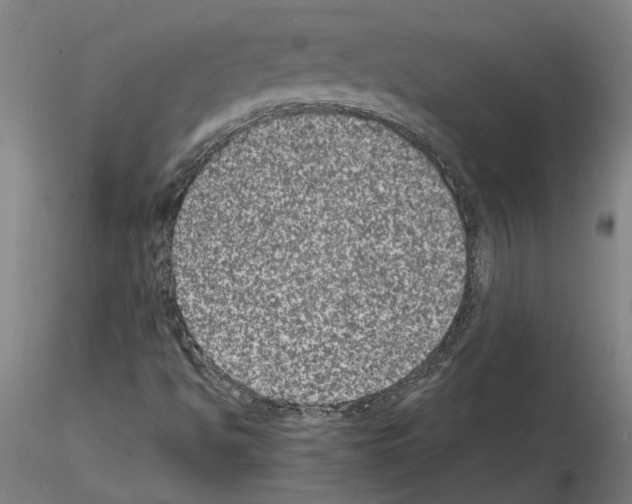 X0000114661494200912011123