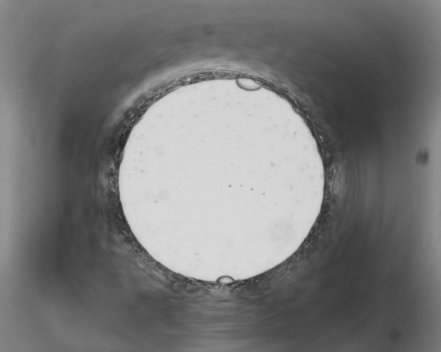 X0000114661495200912011123