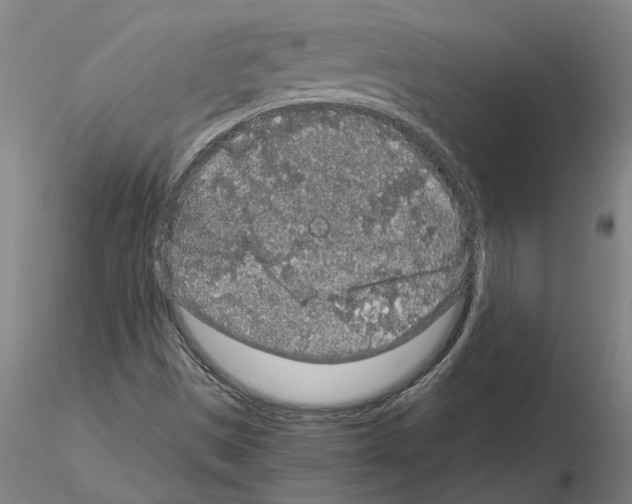 X0000114661497200912011123