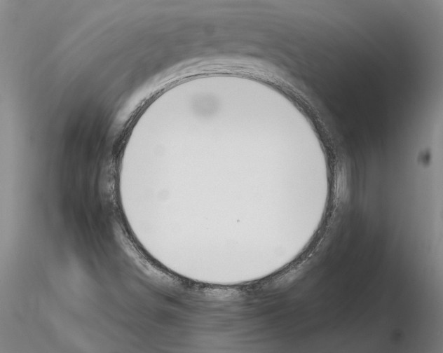 X0000114661498200912011123