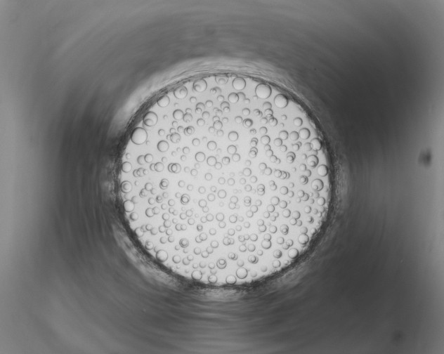 X0000114661499200912011123