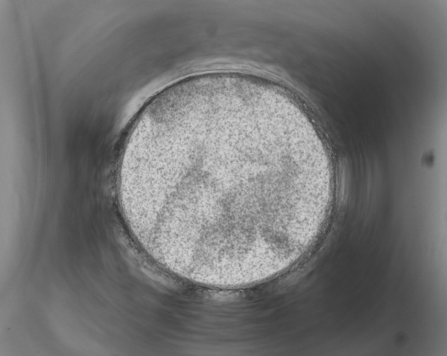 X0000114661501200912011123