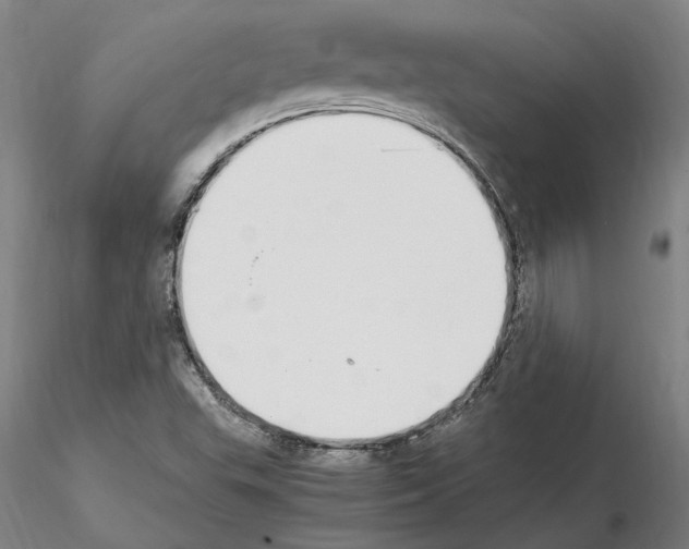 X0000114661503200912011123