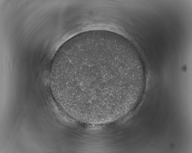 X0000114661505200912011123