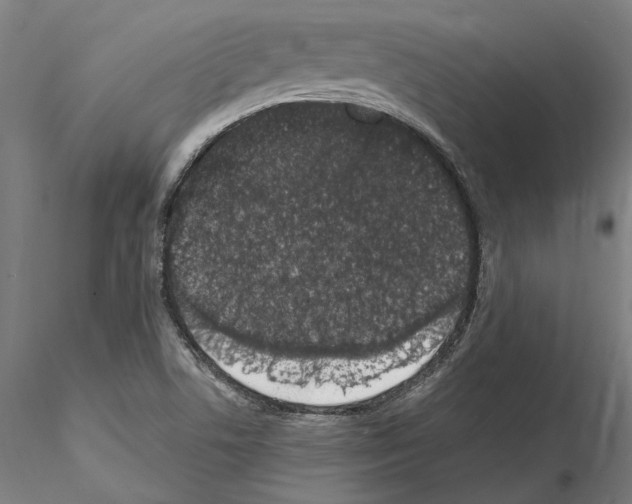 X0000114661506200912011123