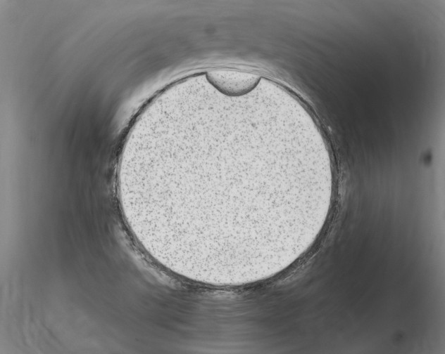 X0000114661507200912011123