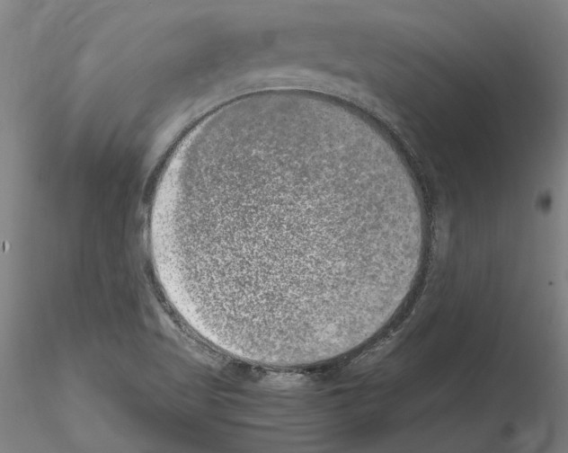 X0000114661509200912011123