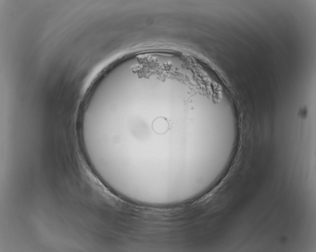 X0000114661510200912011123