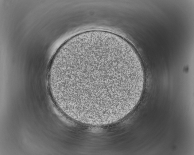 X0000114661511200912011123