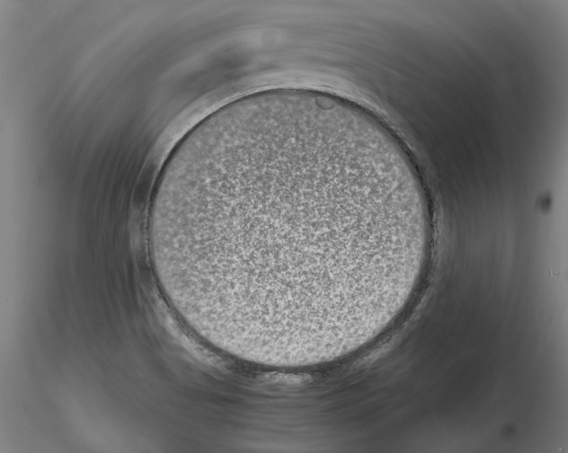 X0000114661513200912011123