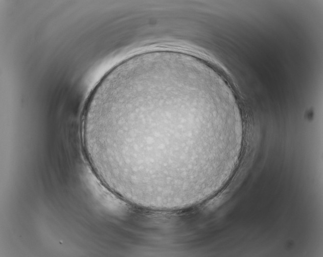 X0000114661514200912011123