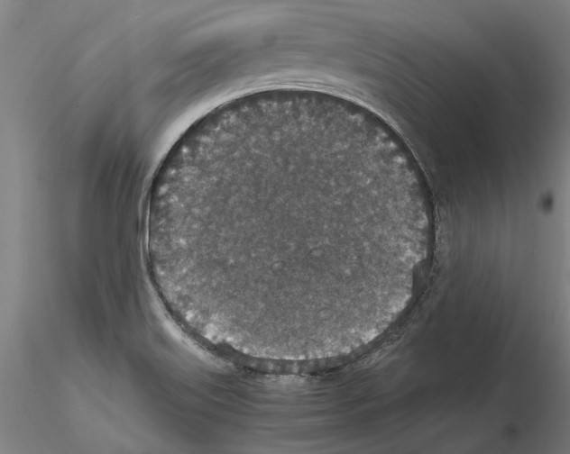 X0000114661515200912011123