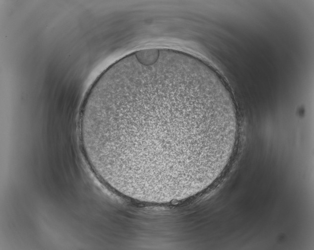 X0000114661517200912011123